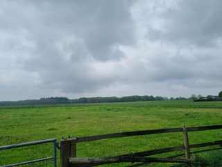 Nutter - Vasserweg 28